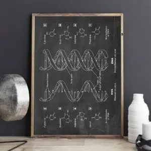 Affiche Scientifique