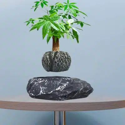 Pot de Fleur Flottant - Pot de Fleur en Lévitation - Science Labs