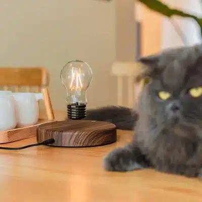 Lampe Ampoule en Lévitation - lampe scientifique - deco scientifique