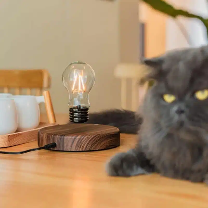 Lampe Ampoule en Lévitation - lampe scientifique - deco scientifique