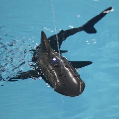 Robot Requin Télécommandé - Robot Jouet - Science Labs