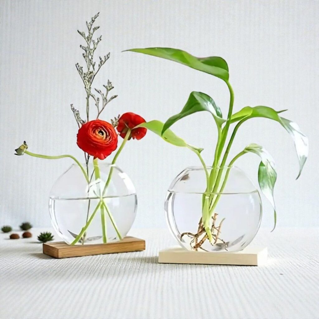 Culture Hydroponique Design