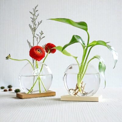 Culture Hydroponique Design