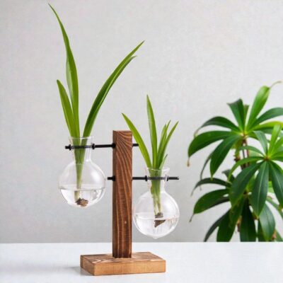 Station de Bouturage