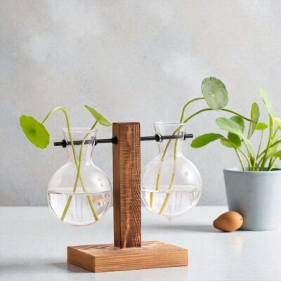 Station de Bouturage