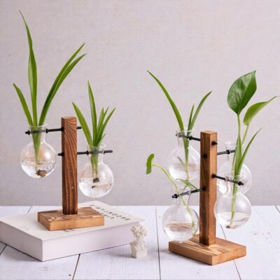 Station de Bouturage