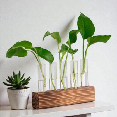 Vase éprouvette Laboratoire