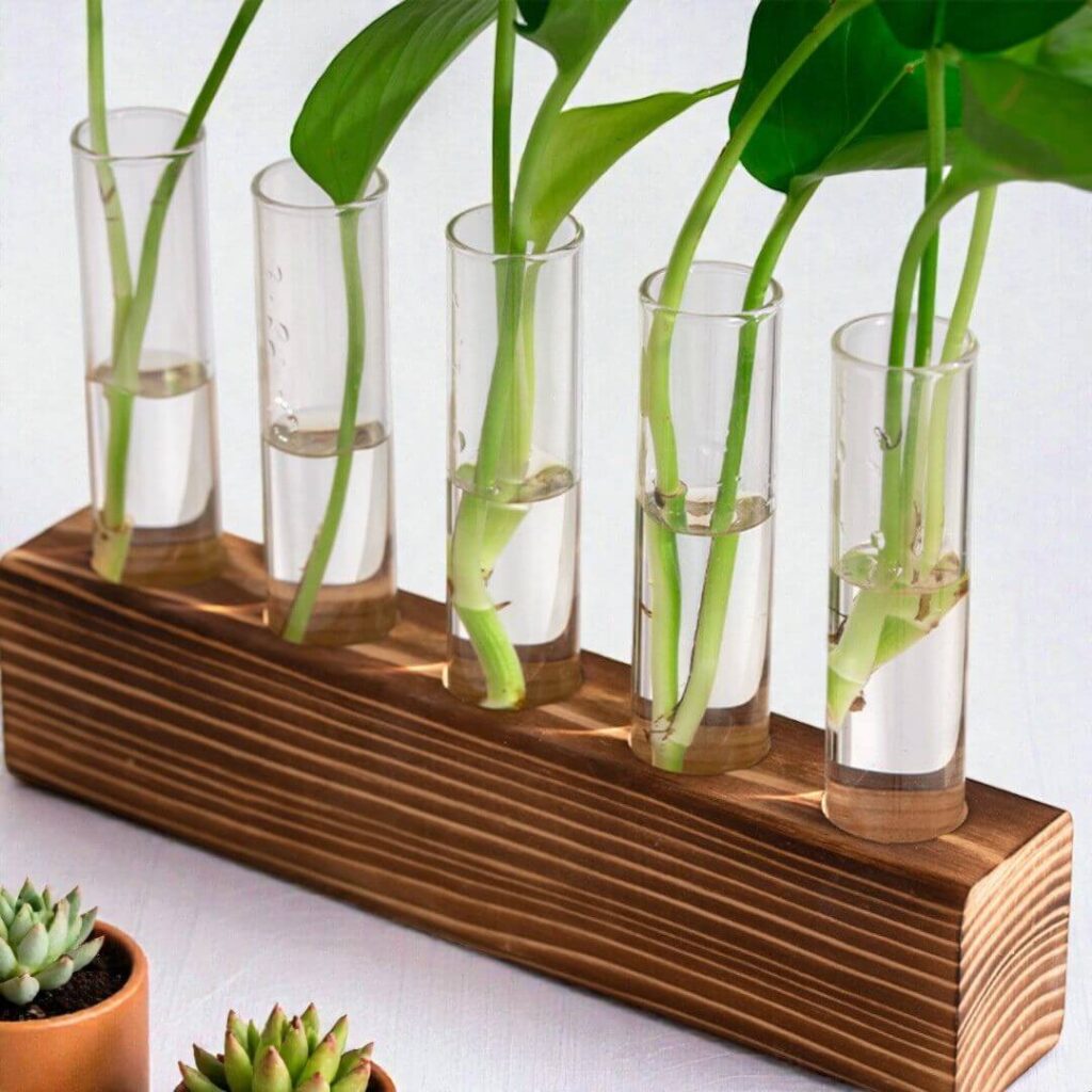 Vase éprouvette Laboratoire