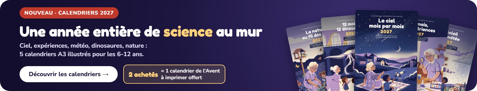 Calendriers muraux 2027 illustrés pour les 6-12 ans : 2 achetés, 1 calendrier de l'Avent à imprimer offert