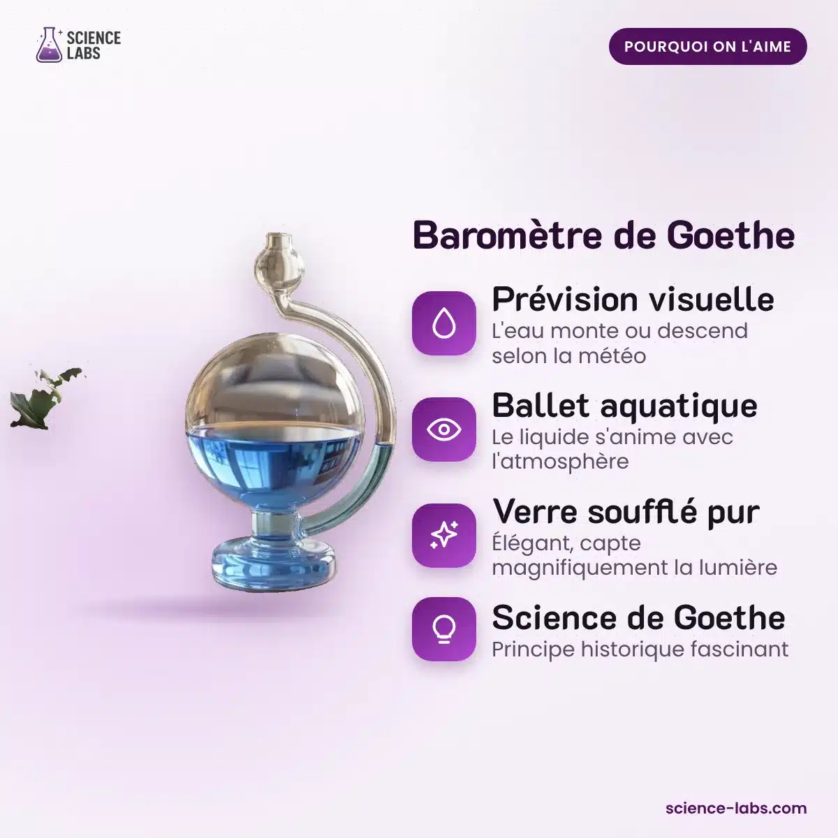 Baromètre de Goethe : les avantages