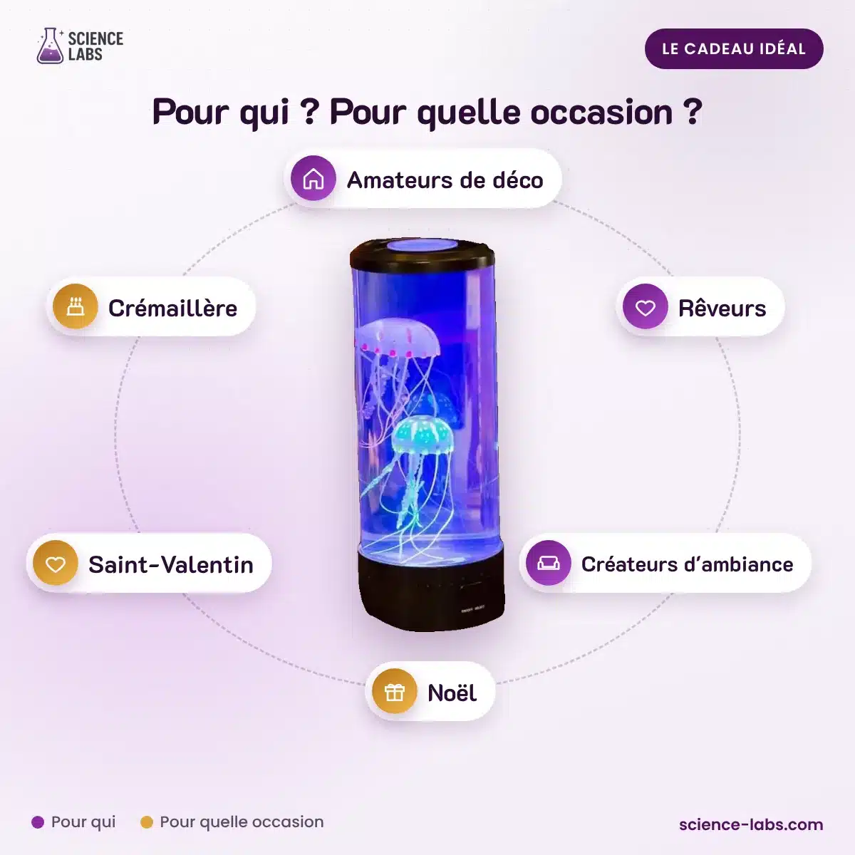 Bundle « Lumières et Ambiance » : pour qui, pour quelle occasion