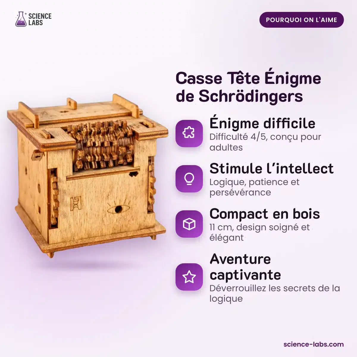 Casse Tête Énigme de Schrödingers : les avantages