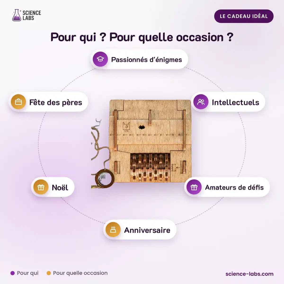 Casse Tête Énigme de Schrödingers : pour qui, pour quelle occasion