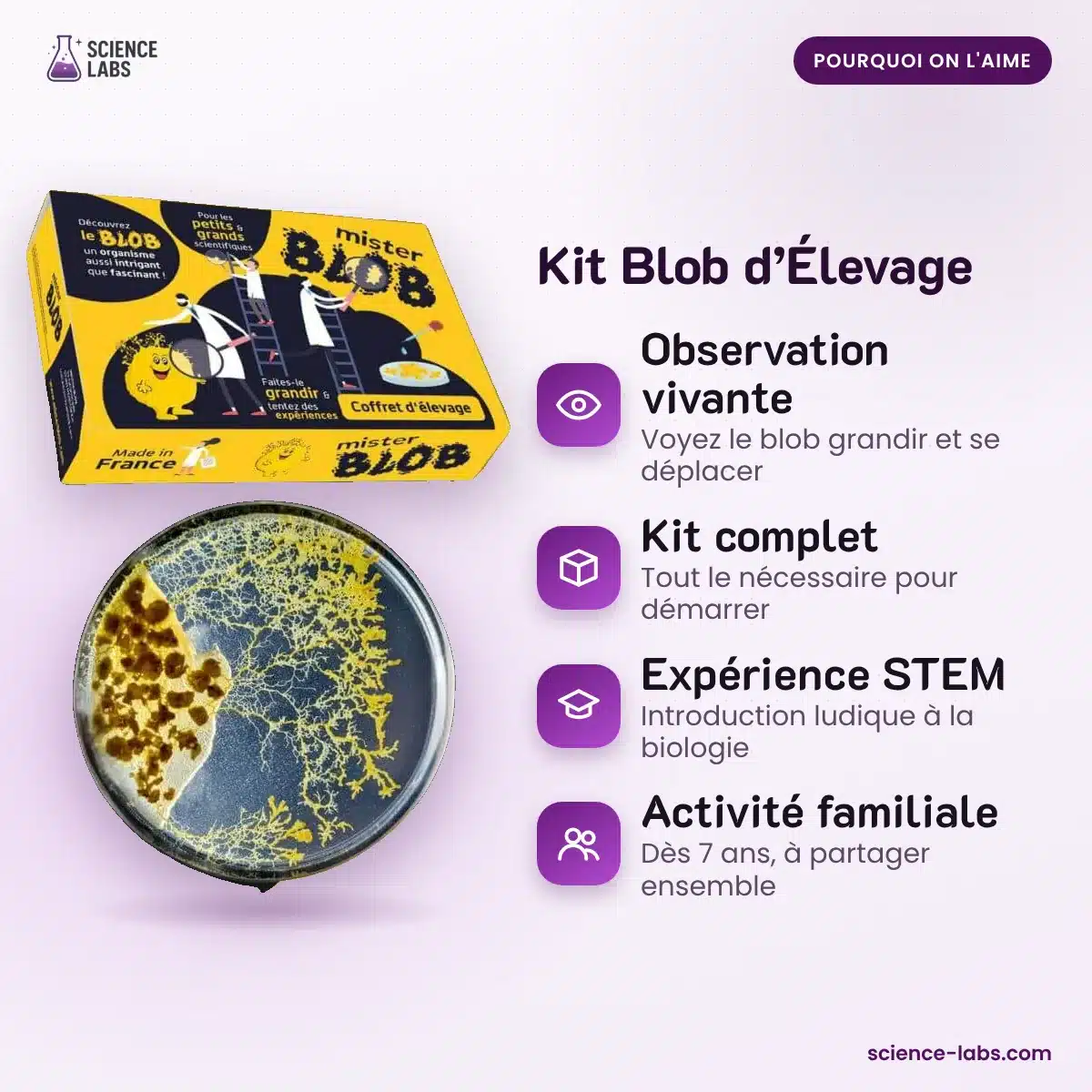 Kit Blob d’Élevage : les avantages
