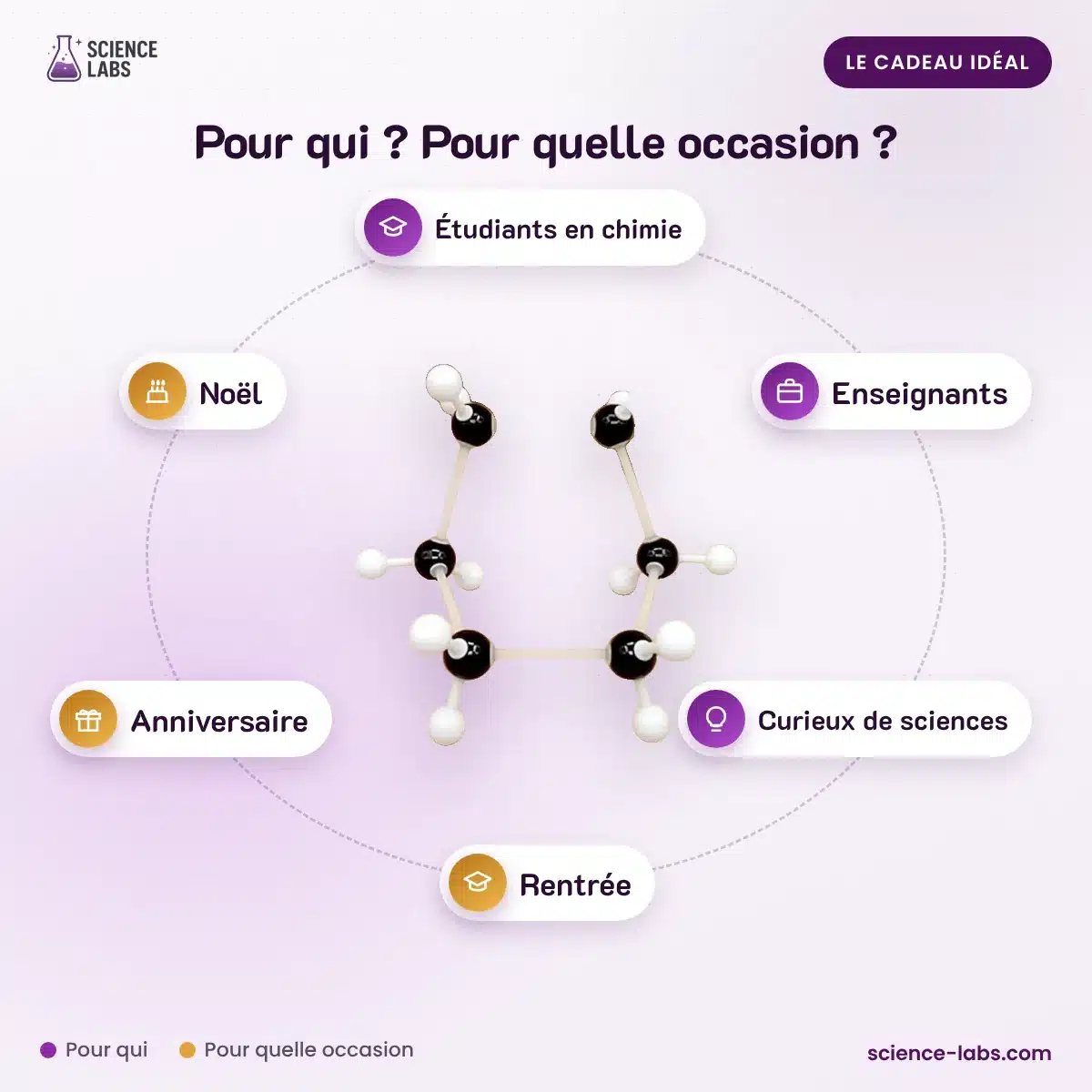 Kit de Modélisation Moléculaire : pour qui, pour quelle occasion