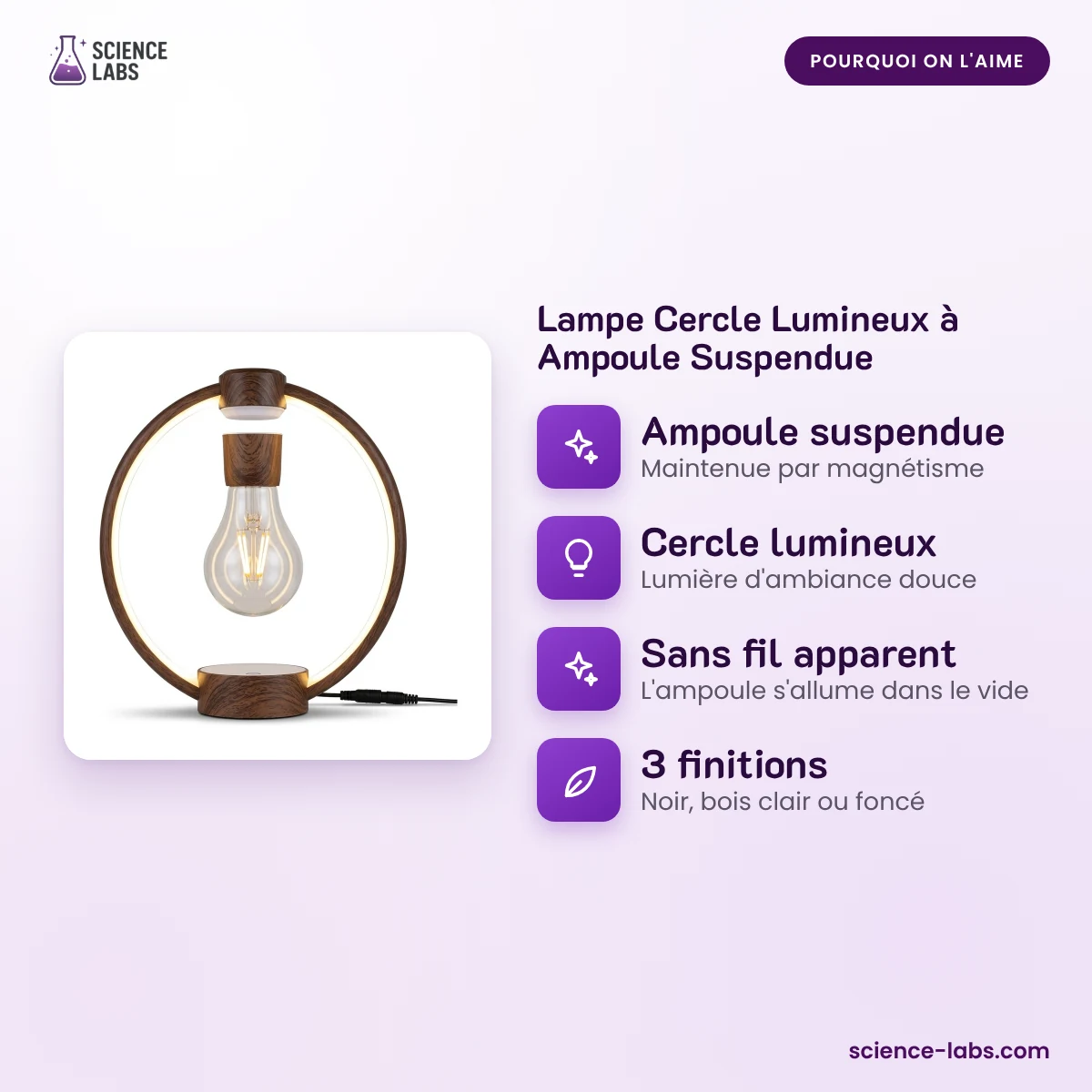 Lampe Cercle Lumineux à Ampoule Suspendue : pourquoi on l'aime