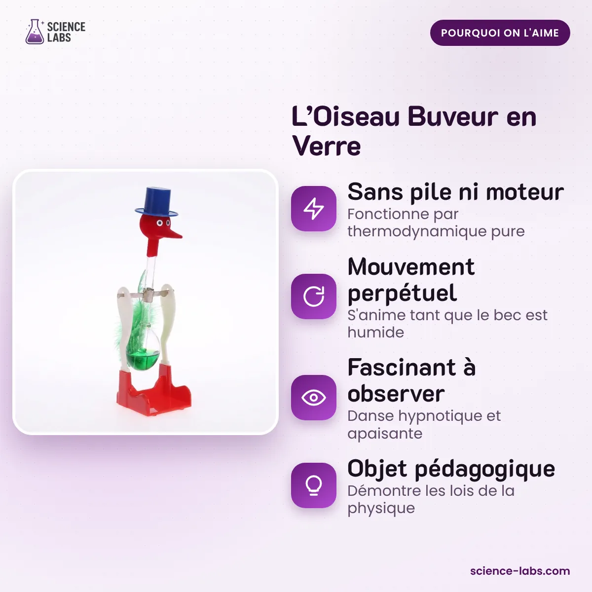L’Oiseau Buveur en Verre : les avantages