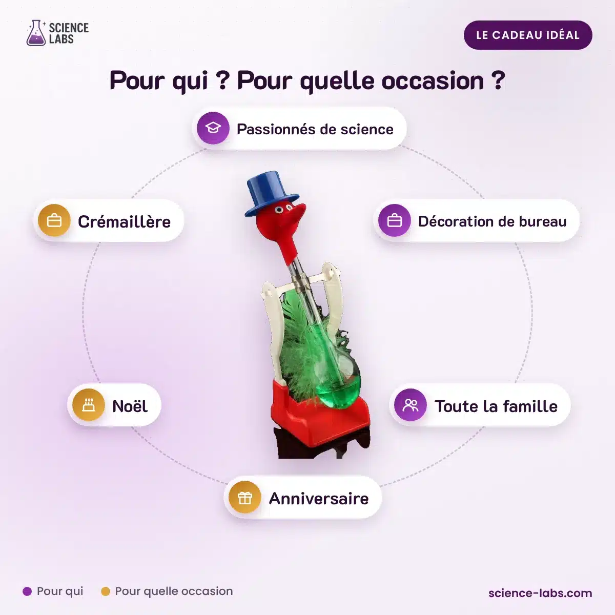 L’Oiseau Buveur en Verre : pour qui, pour quelle occasion