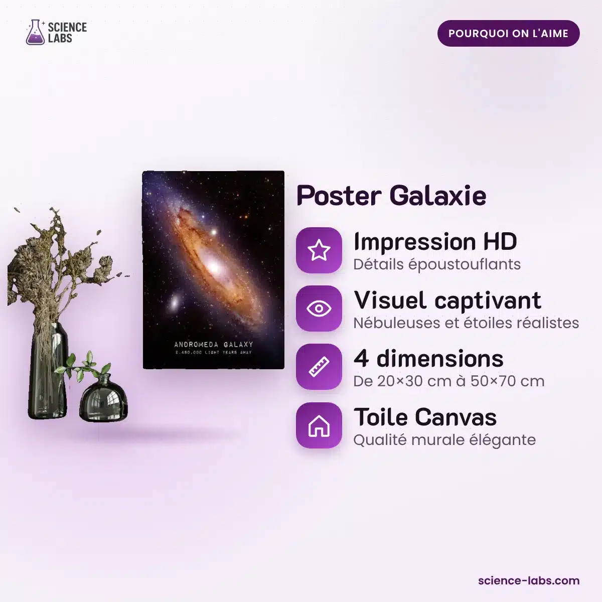 Poster Galaxie : les avantages
