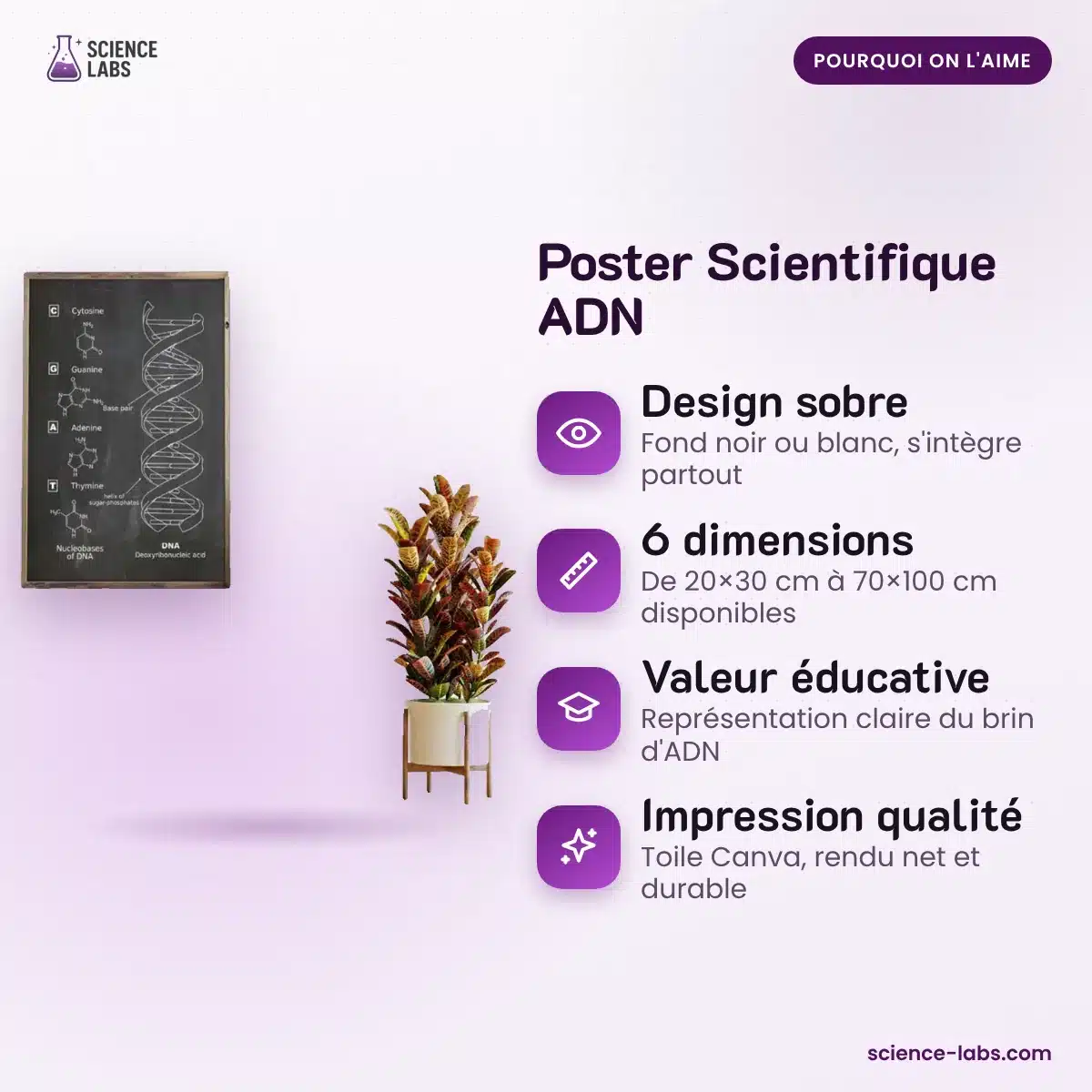 Poster Scientifique ADN : les avantages