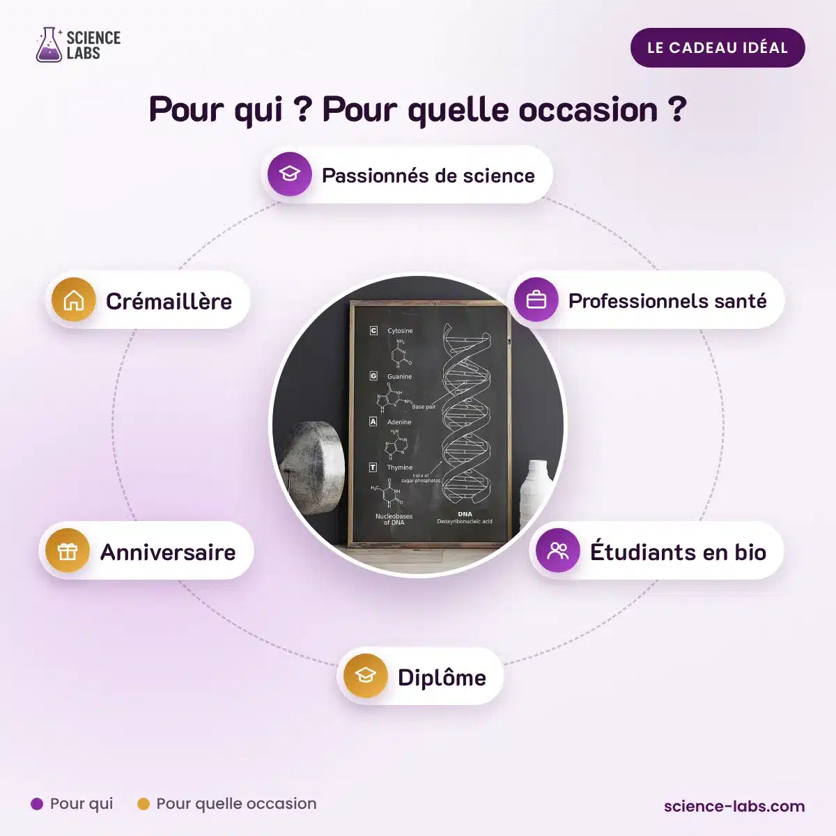 Poster Scientifique ADN : pour qui, pour quelle occasion