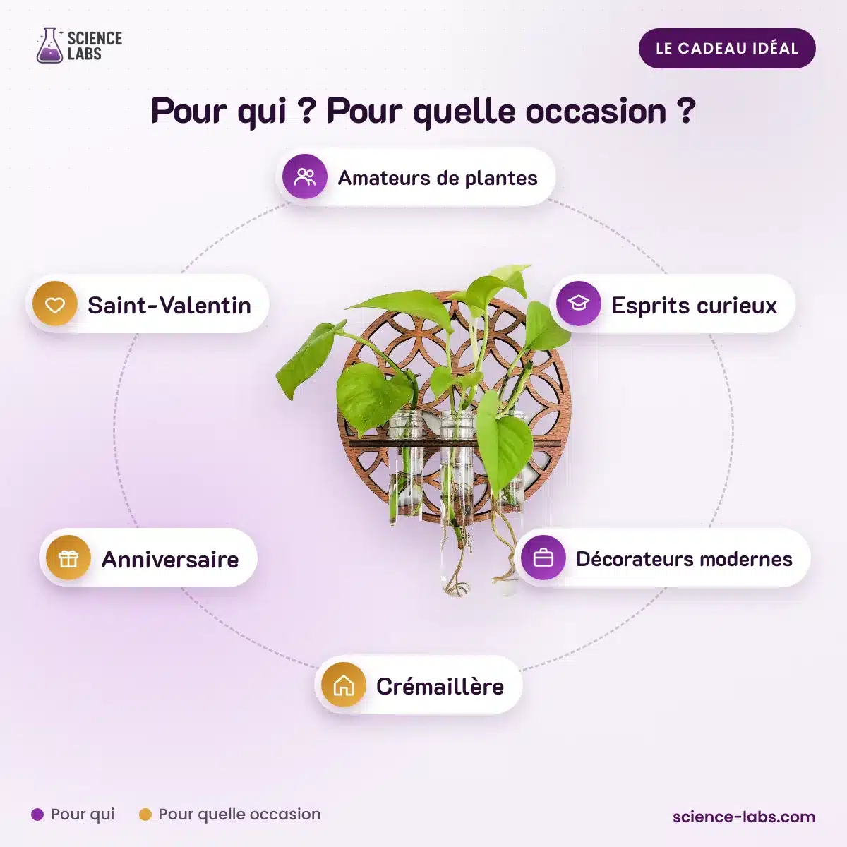 Les Jardins de « Babylone » Hydroponique (Lot de 3) : pour qui, pour quelle occasion