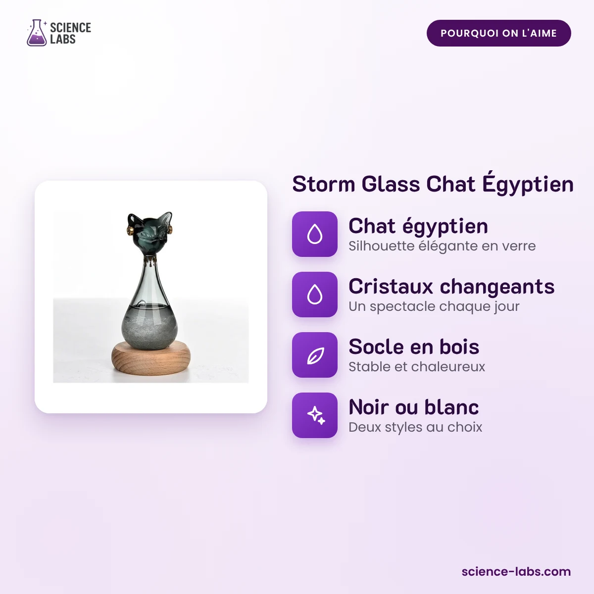 Storm Glass Chat Égyptien